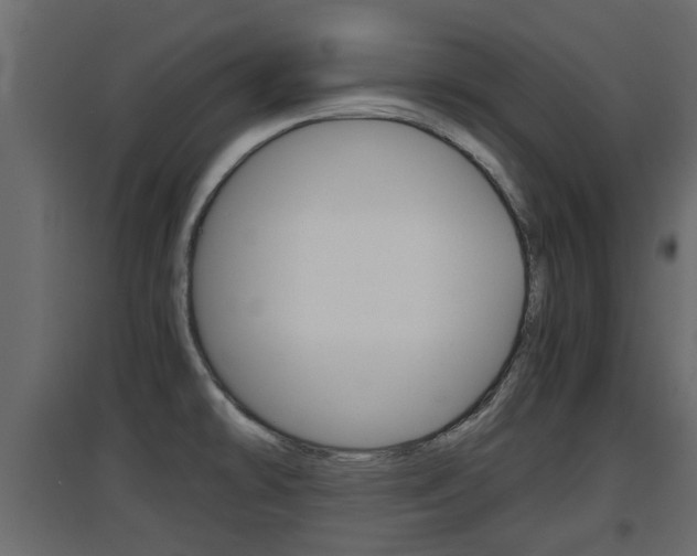 X0000094971478200711291126