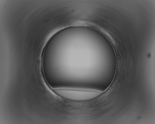 X0000094971479200711291126