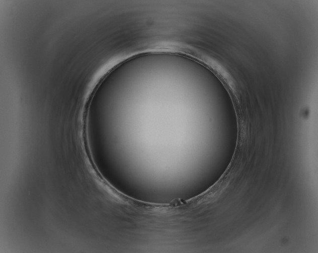X0000094971480200711291126