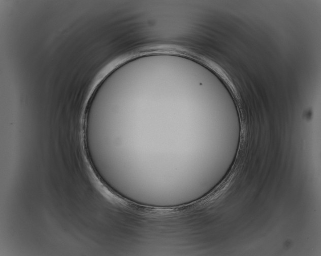 X0000094971482200711291126