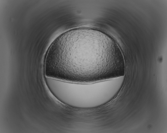 X0000094971483200711291126