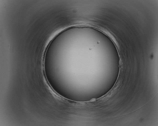X0000094971485200711291126