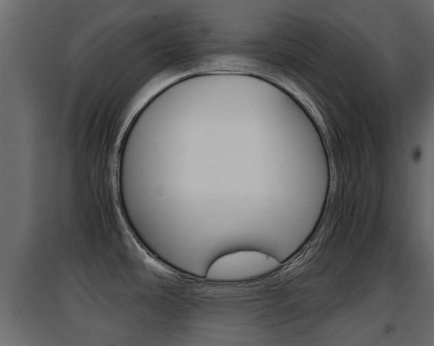 X0000094971486200711291126