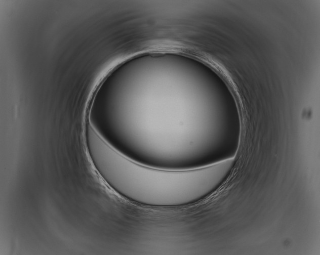 X0000094971488200711291126