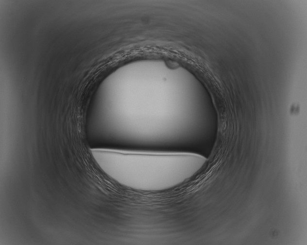X0000094971490200711291125