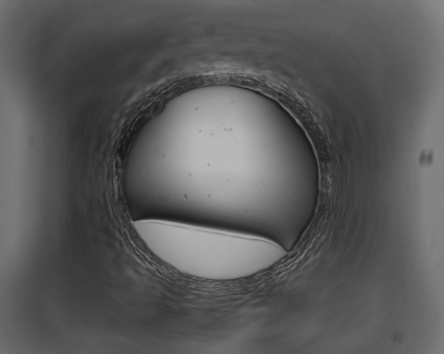X0000094971493200711291125
