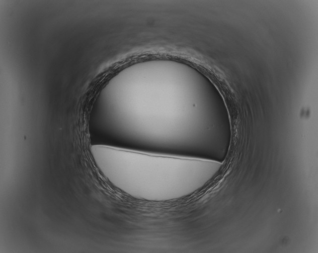 X0000094971494200711291125