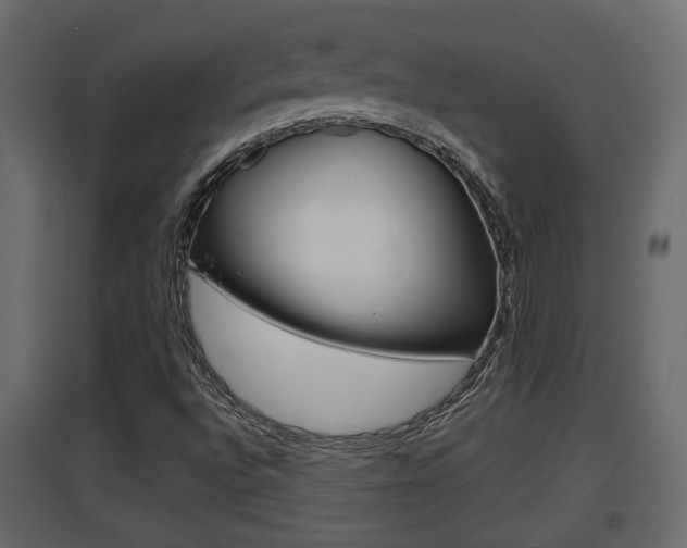 X0000094971496200711291125