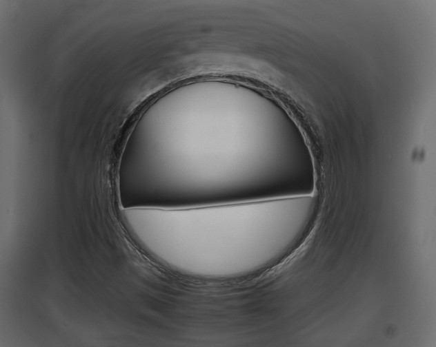 X0000094971497200711291125