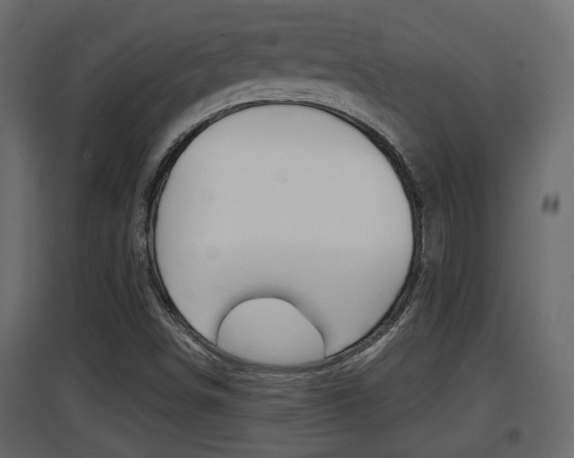 X0000094971498200711291125