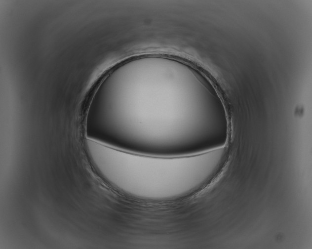 X0000094971501200711291125