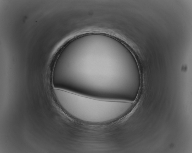 X0000094971502200711291125