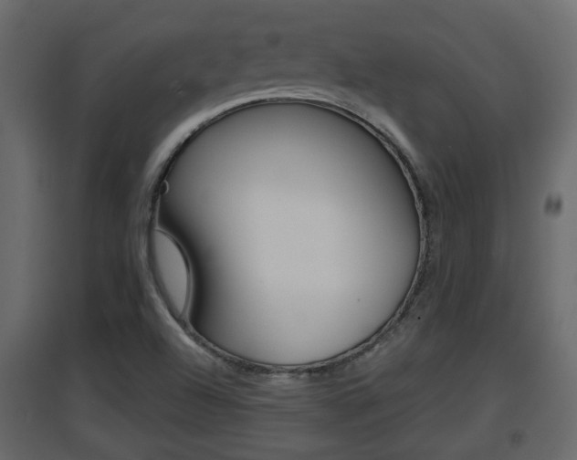 X0000094971504200711291126
