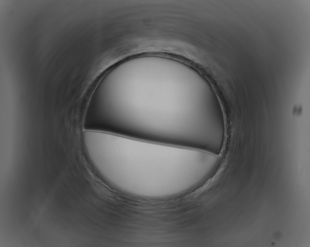 X0000094971505200711291126