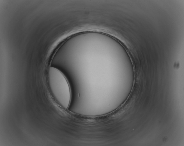 X0000094971507200711291126