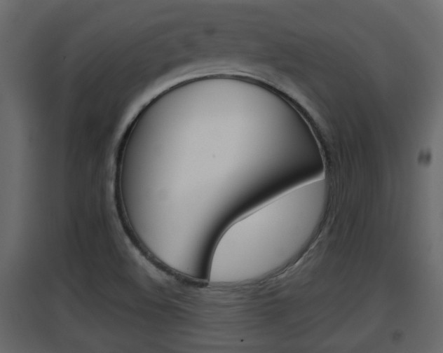 X0000094971508200711291126