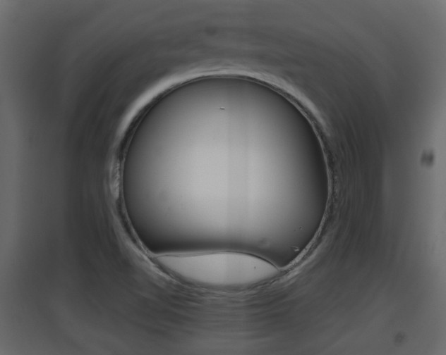 X0000094971510200711291126