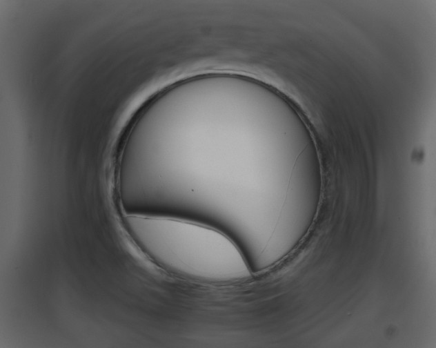 X0000094971511200711291126