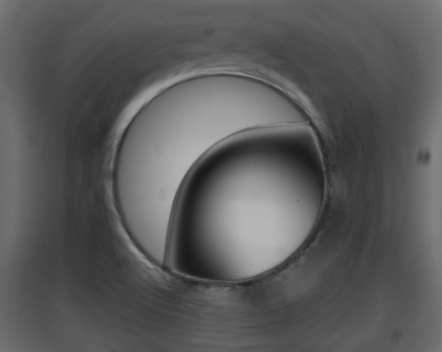 X0000094971512200711291126