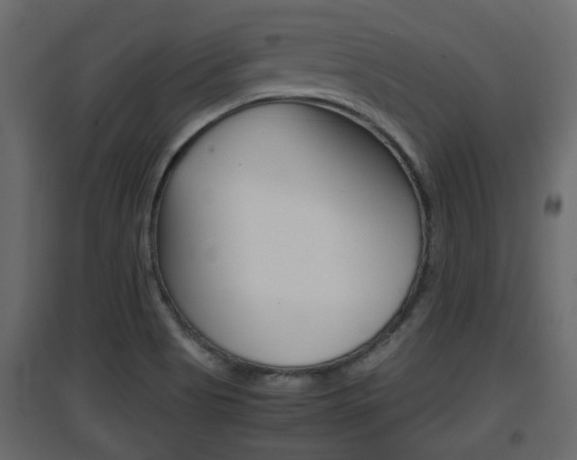 X0000094971513200711291126