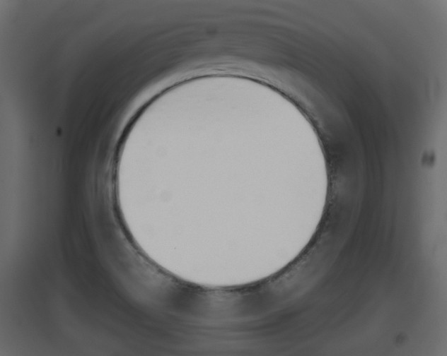 X0000094971514200711291126