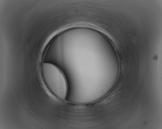 X0000094971515200711291126