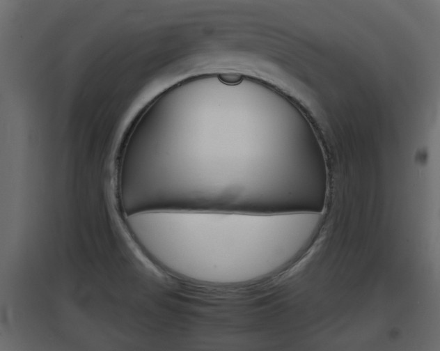 X0000094971517200711291126