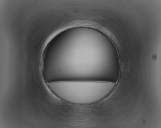X0000094971520200711291126