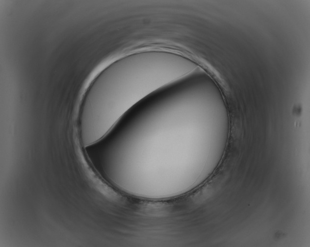 X0000094971522200711291126