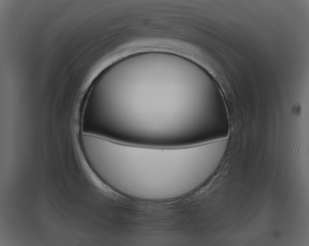 X0000094971523200711291126
