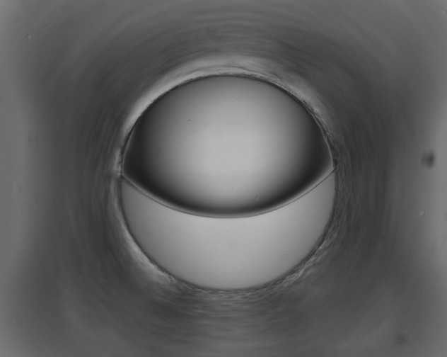 X0000094971524200711291126