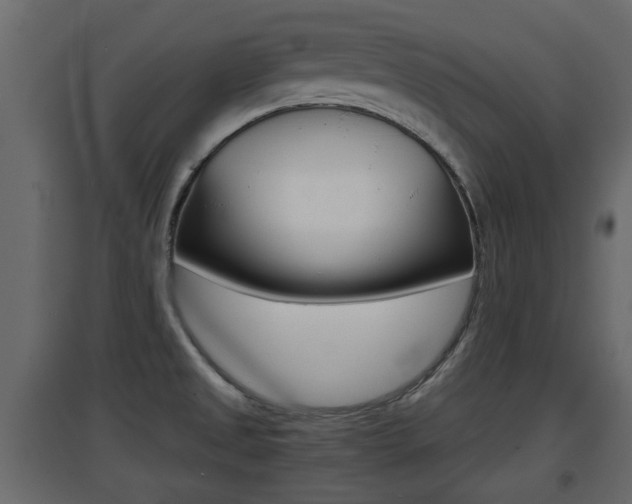 X0000094971525200711291126
