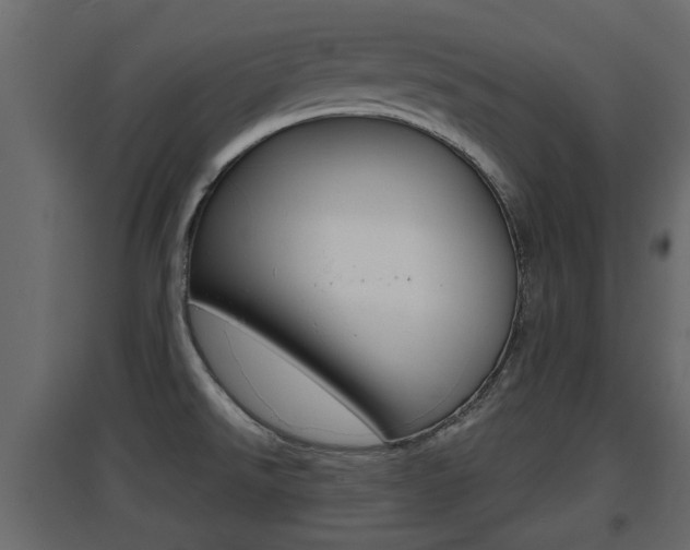 X0000094971526200711291126