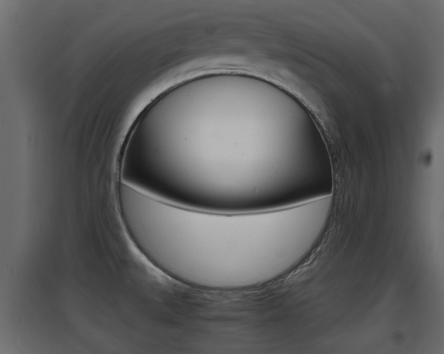 X0000094971527200711291126