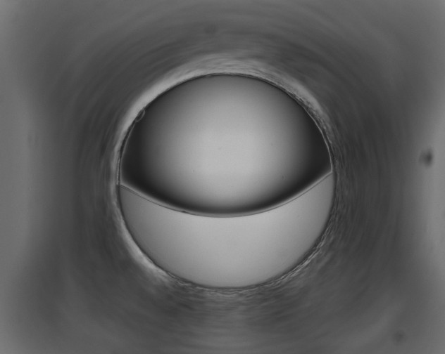 X0000094971528200711291126