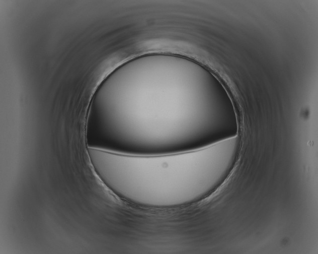 X0000094971529200711291126