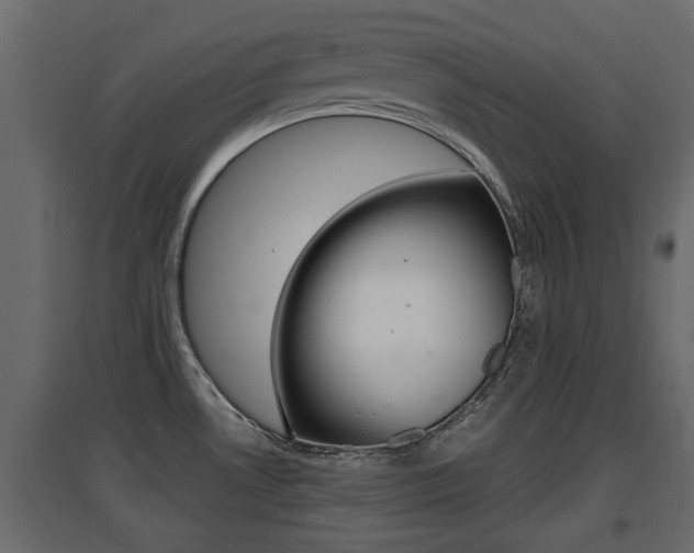 X0000094971530200711291126