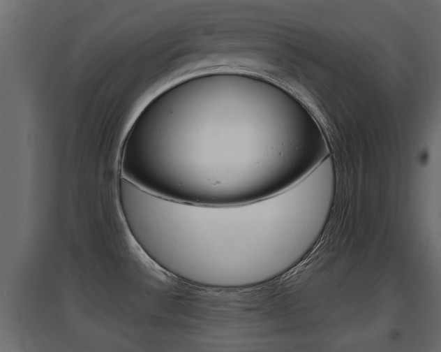 X0000094971532200711291126