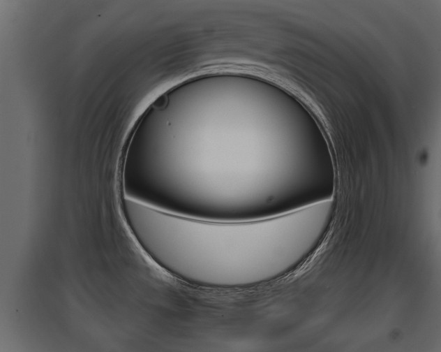 X0000094971533200711291126