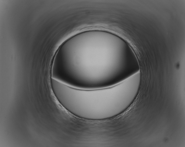 X0000094971534200711291126
