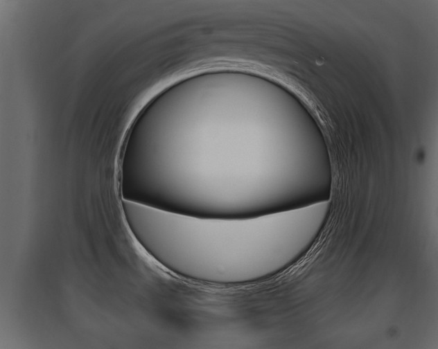 X0000094971535200711291126