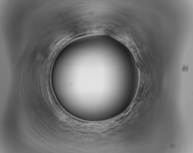 X0000094970001200711291515