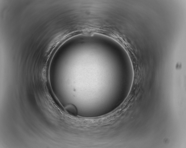 X0000094970002200711291515