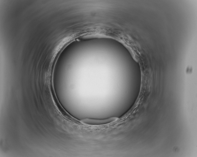 X0000094970003200711291515