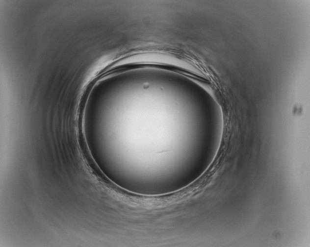 X0000094970006200711291515