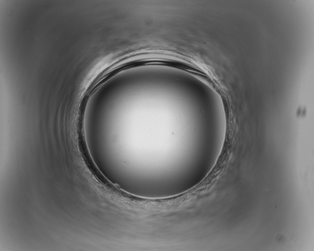 X0000094970007200711291515