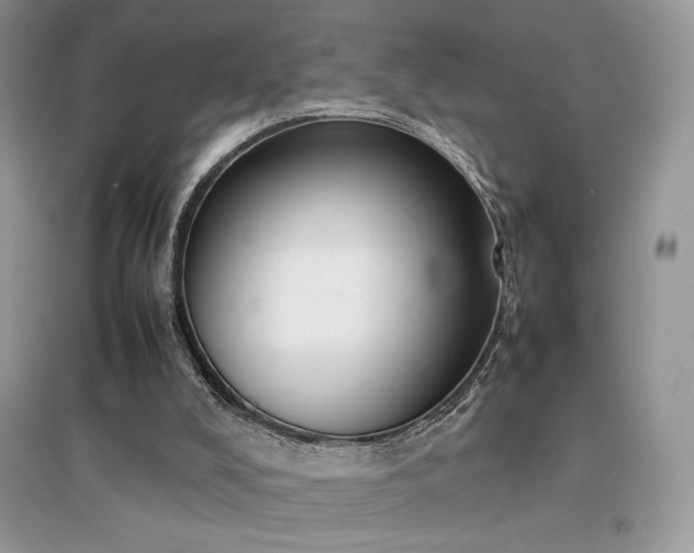X0000094970008200711291515