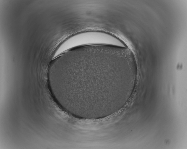 X0000094970009200711291515