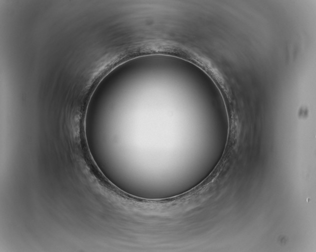 X0000094970010200711291515