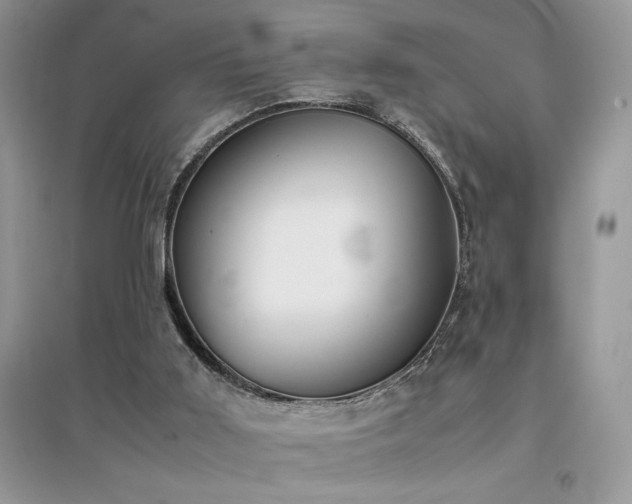 X0000094970011200711291515